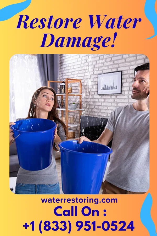 water restoration Premier Damage Recovery Inc Burt
