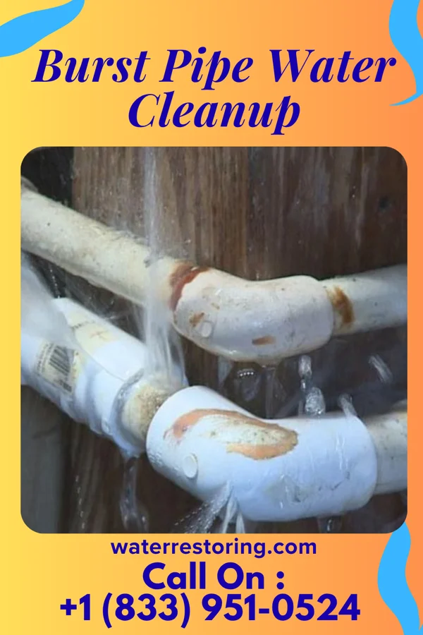 Burst Pipe Water Cleanup in Burt, IA