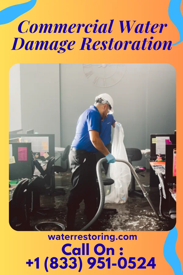 Commercial Water Damage Restoration in Burt, IA
